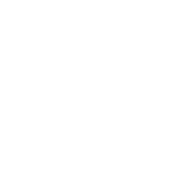 icon_not_found
